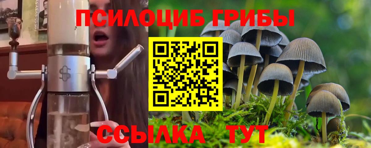 Партизанск  Галлюциногенные грибы GOLDEN TEACHER  Вход с VPN 